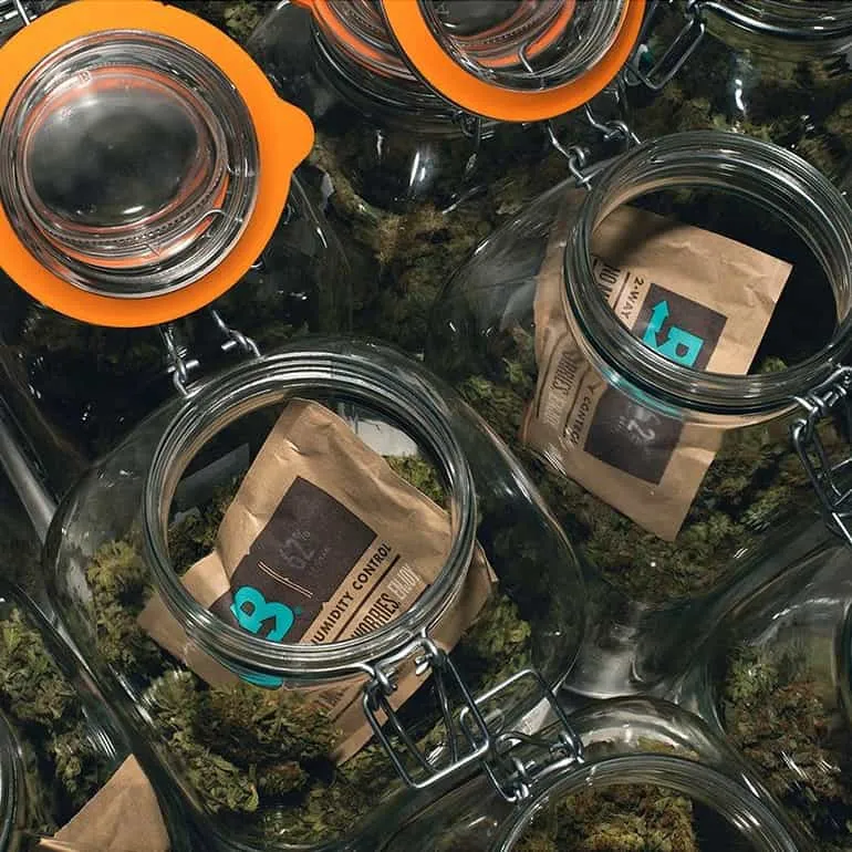 62% Boveda 8g Pack