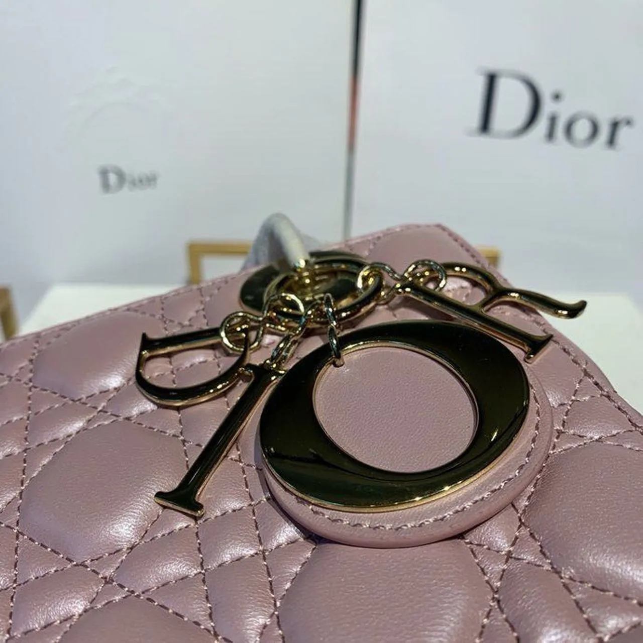 DI Small Lady Bag Gold Toned Hardware Powder Pink Cannage Pink For Women 8in/20cm CD