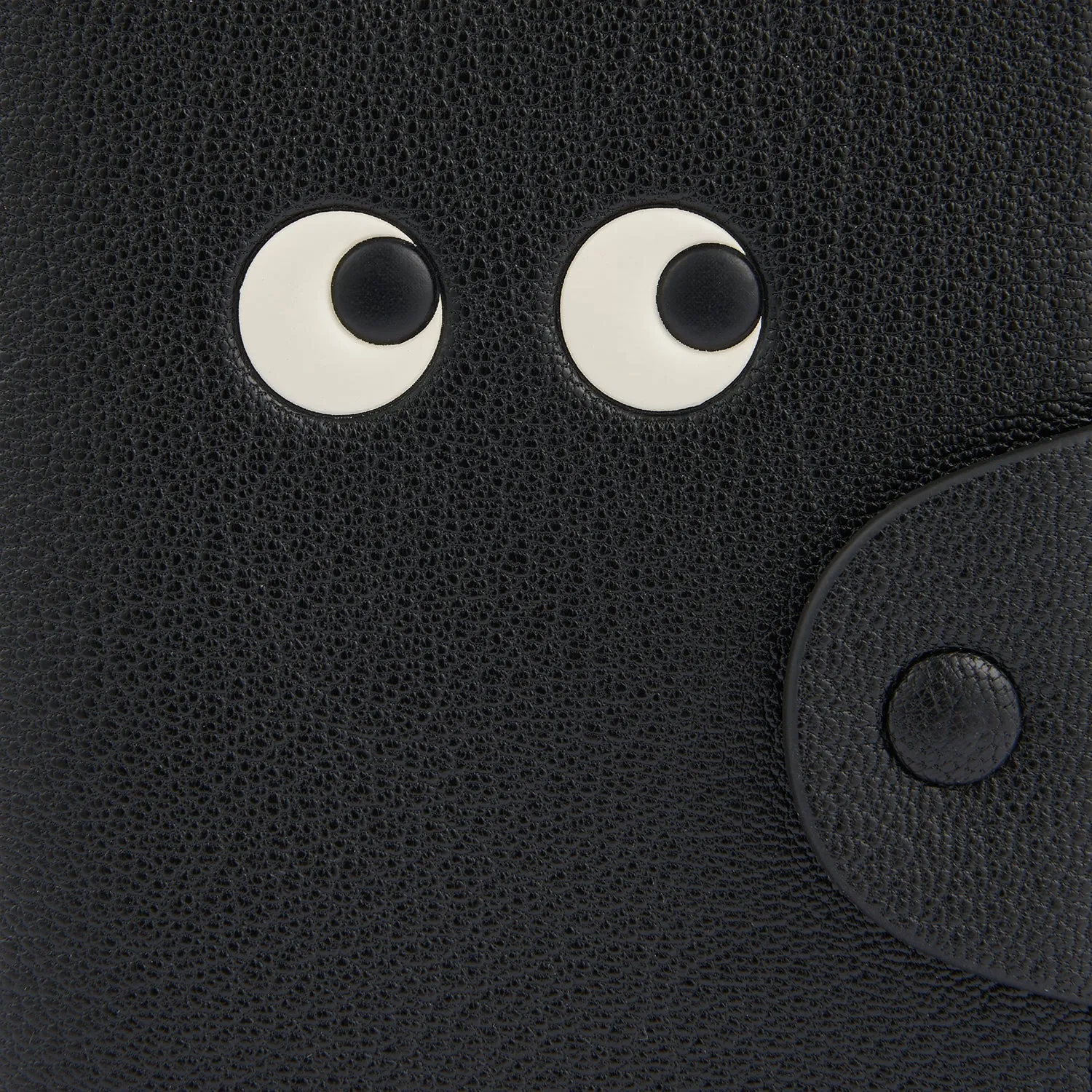 Eyes Passport Case