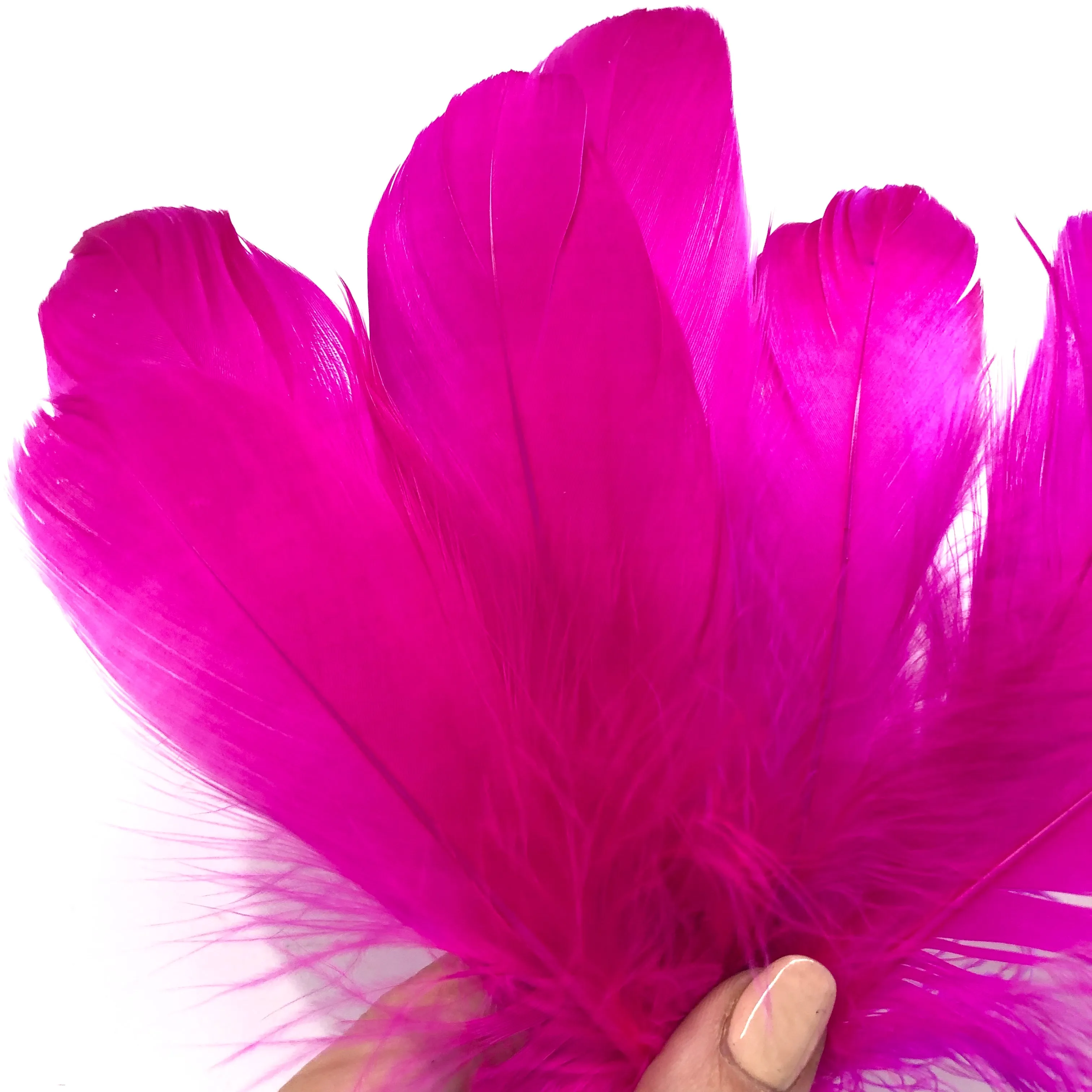 Goose Nagoire Feathers 10 grams - Cerise