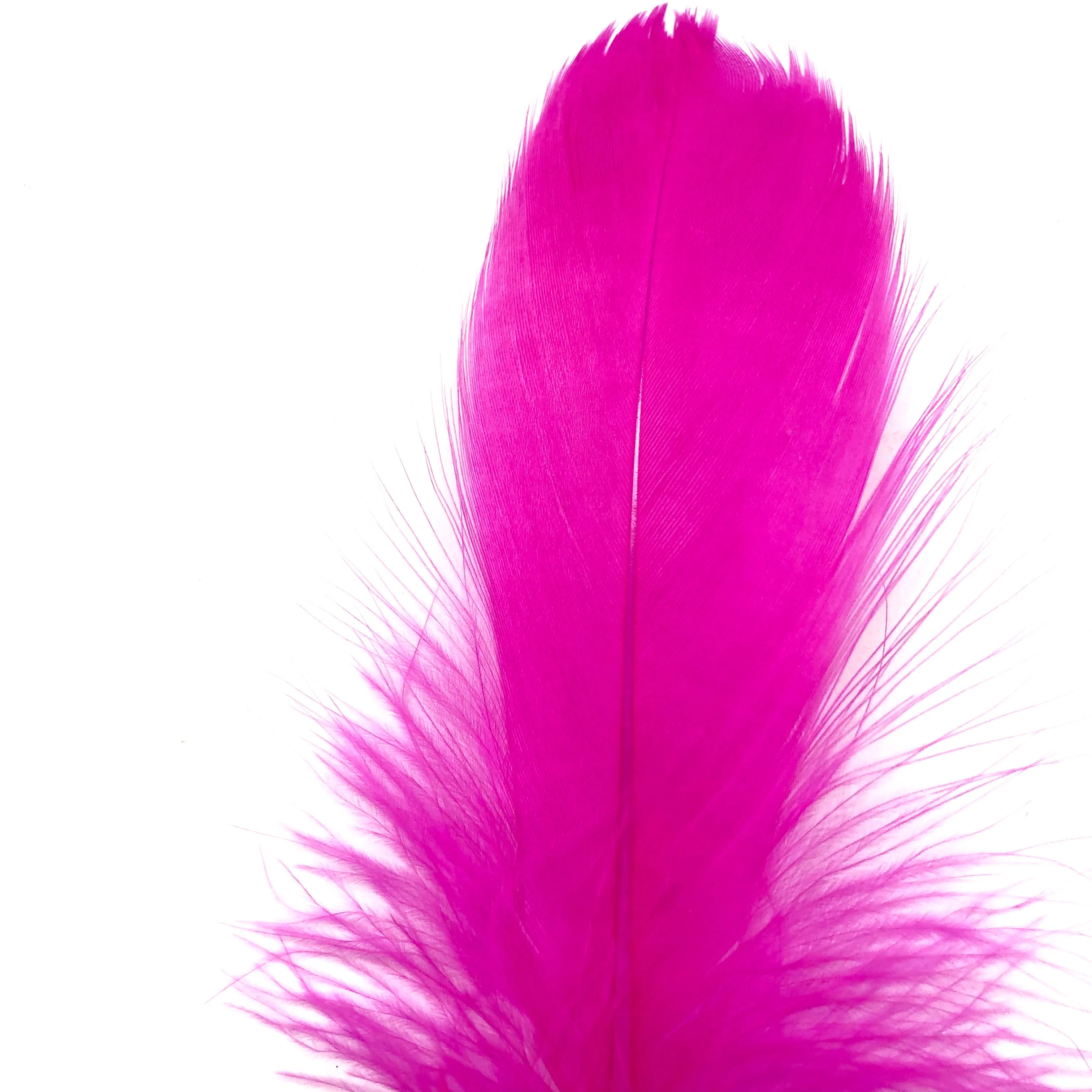 Goose Nagoire Feathers 10 grams - Cerise