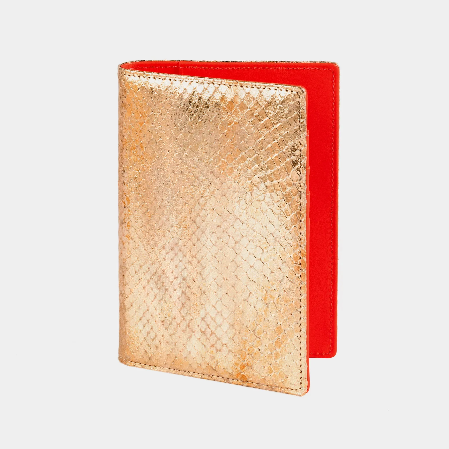 Passport Holder in Gold and Red