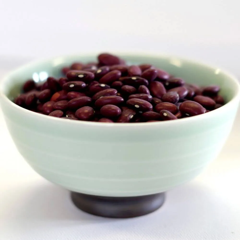 Rainy Day Foods Gluten-Free Small Red Beans 5 Gallon 34 lbs Super Pail - 154 Servings