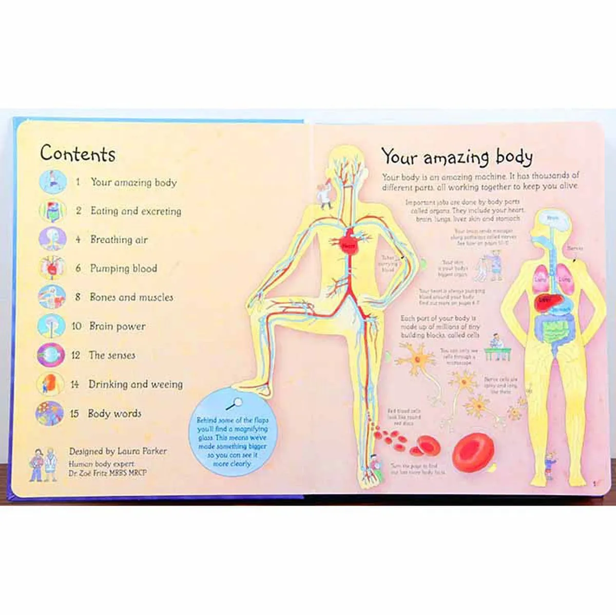 Usborne see inside your body