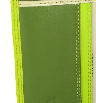 Visconti Rainbow Passport Holder RB75 Lime Multi