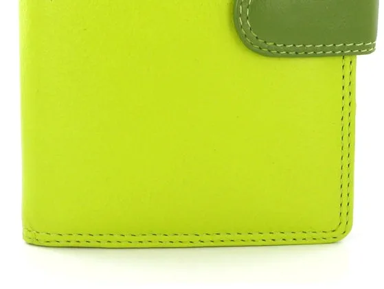 Visconti Rainbow Passport Holder RB75 Lime Multi